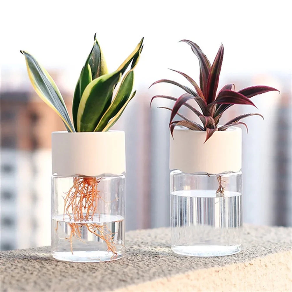 Mini Hydroponic Flower Pot Home Vase Decor Transparent Imitation Glass Soilless Plant Pots Green Plants Pot For Home Decoration - Hocozy 