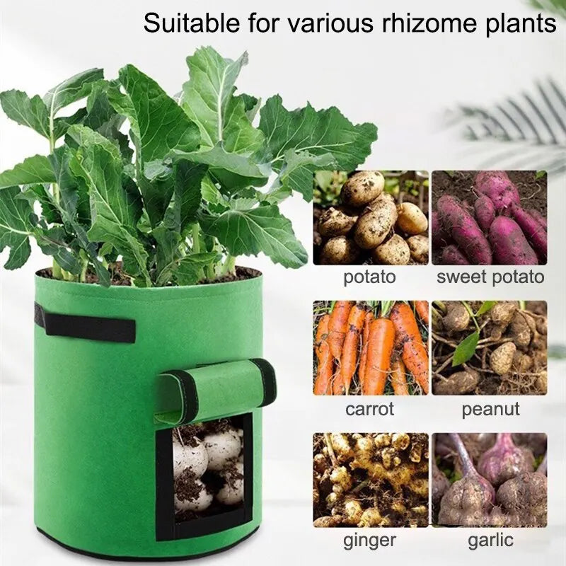 1PC Felt Potato Planting Bag Large Diameter Vegetable Plant Seedling Bag Non-Woven Felt Potato Growing Bucket - Hocozy 