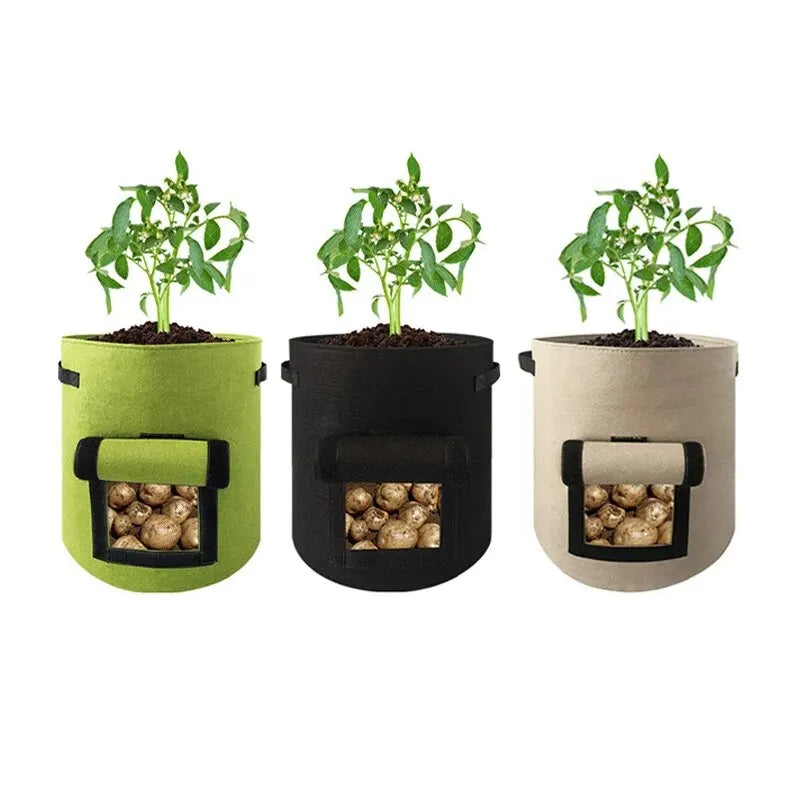 1PC Felt Potato Planting Bag Large Diameter Vegetable Plant Seedling Bag Non-Woven Felt Potato Growing Bucket - Hocozy 