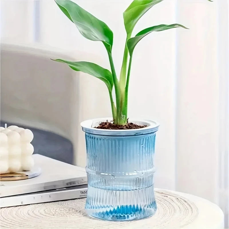 Lazy Hydroponic Flower Pot Automatic Water-Absorbing Flowerpot Transparent Double Layer Plastic Self Watering Planter Office - Hocozy Blue