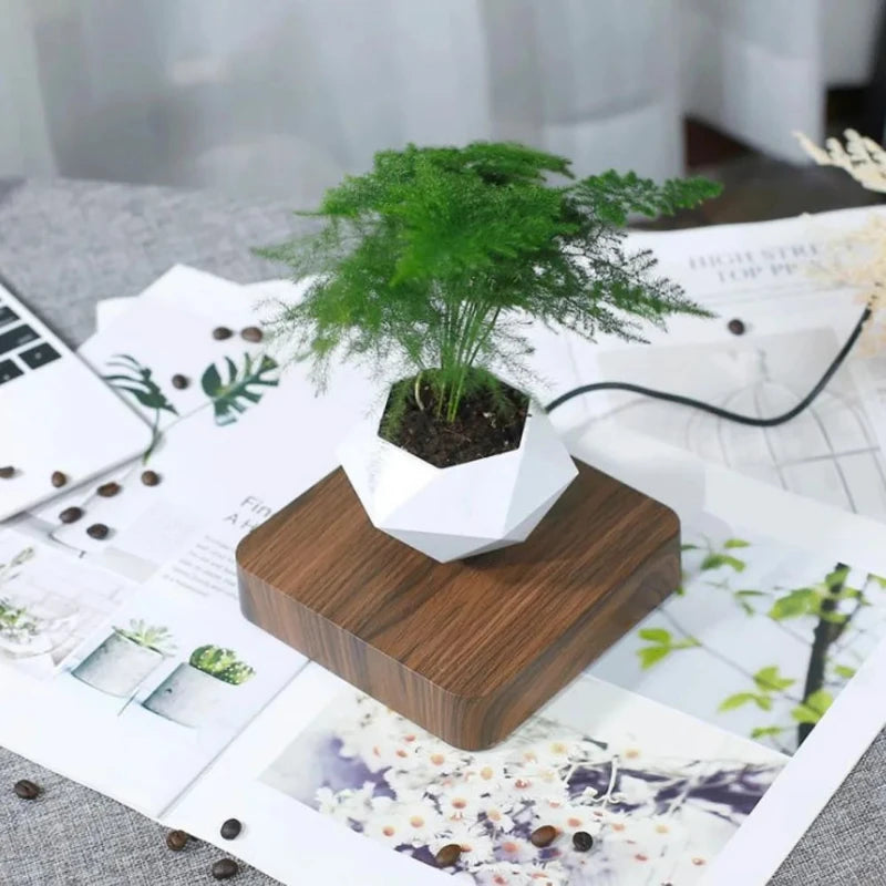 Floating Air Bonsai Pot - Hocozy