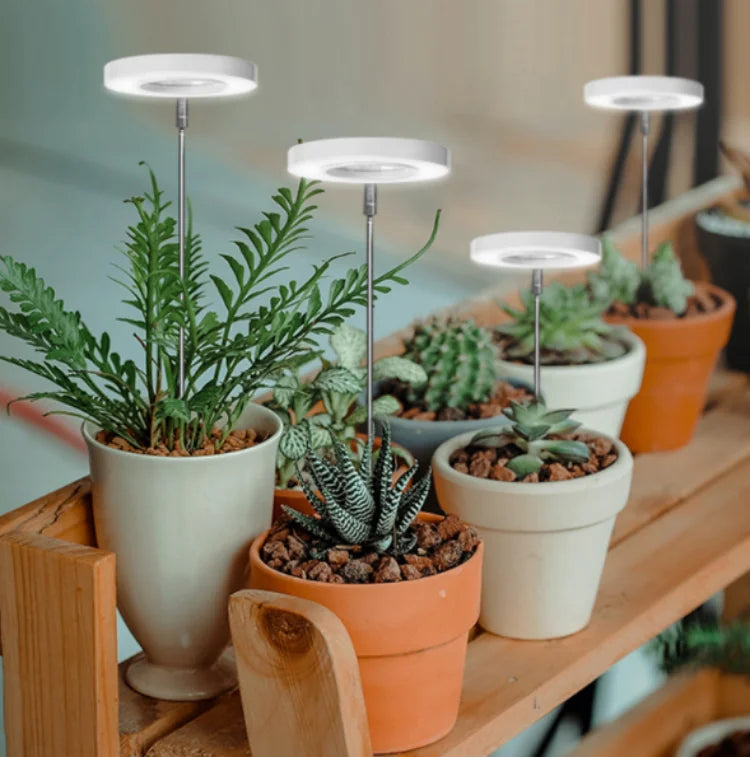 Plant Growth Lamp - Hocozy