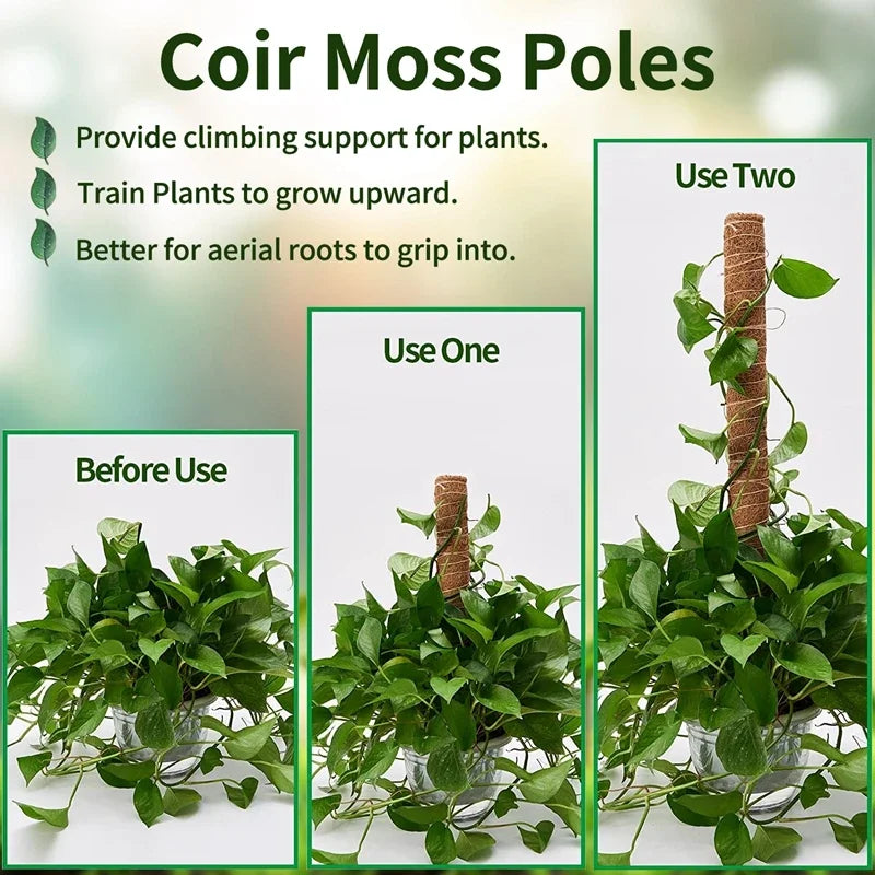 Plant Moss Stick for Climbing Plants - Hocozy