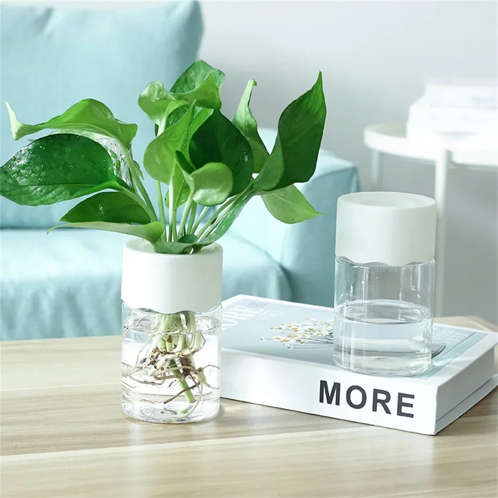 Mini Hydroponic Flower Pot Home Vase Decor Transparent Imitation Glass Soilless Plant Pots Green Plants Pot For Home Decoration - Hocozy 