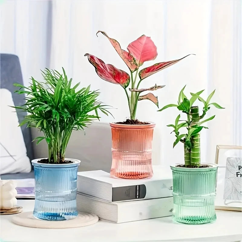 Lazy Hydroponic Flower Pot Automatic Water-Absorbing Flowerpot Transparent Double Layer Plastic Self Watering Planter Office - Hocozy 