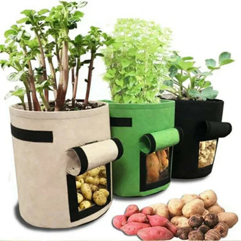 1PC Felt Potato Planting Bag Large Diameter Vegetable Plant Seedling Bag Non-Woven Felt Potato Growing Bucket - Hocozy 