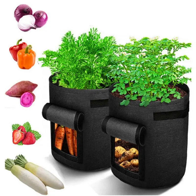 1PC Felt Potato Planting Bag Large Diameter Vegetable Plant Seedling Bag Non-Woven Felt Potato Growing Bucket - Hocozy 