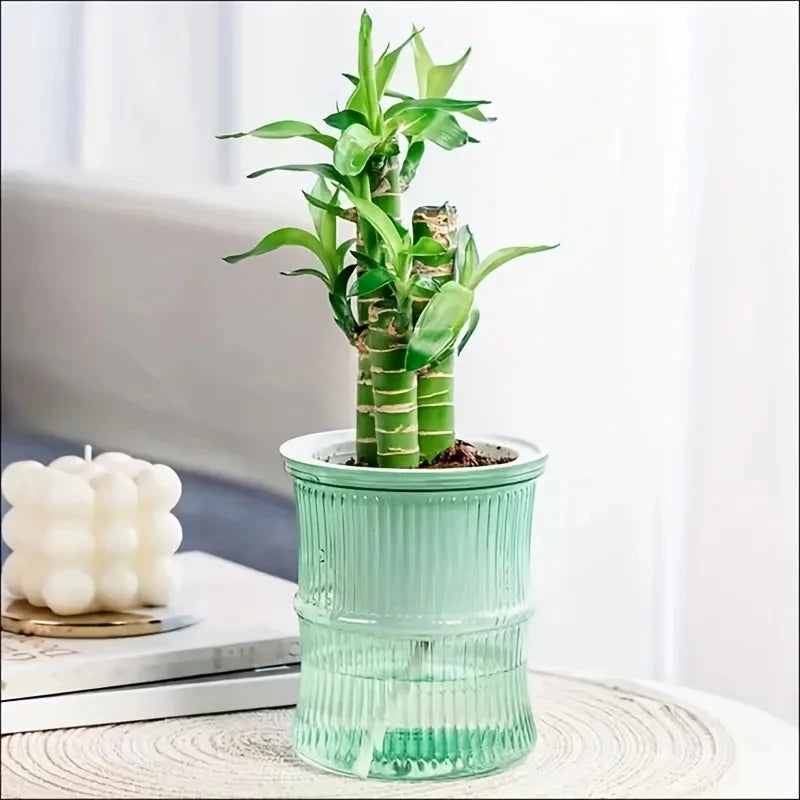 Lazy Hydroponic Flower Pot Automatic Water-Absorbing Flowerpot Transparent Double Layer Plastic Self Watering Planter Office - Hocozy Green