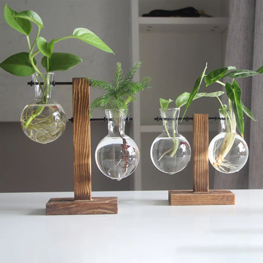 Creative Glass Desktop Planter Bulb Vase Wooden Stand Hydroponic Plant Container Home Tabletop Decor Vases - Hocozy 